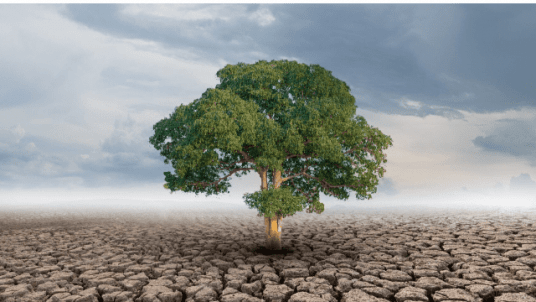 Workshop "The Cost of Inaction: Economic Damages of Climate Change"